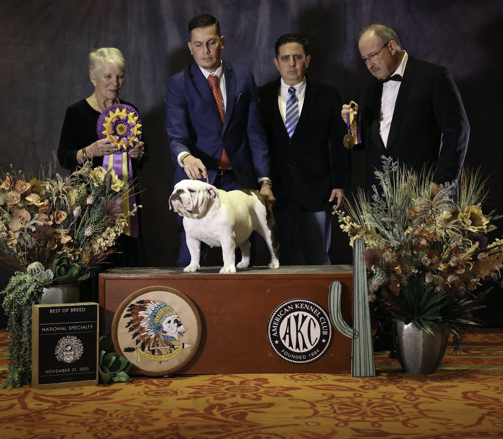 A Flurry of “Firsts”